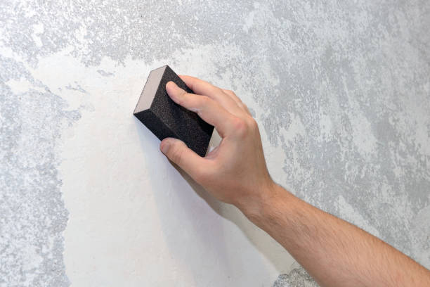Mold Remediation for Vacation Homes in Decatur, TN