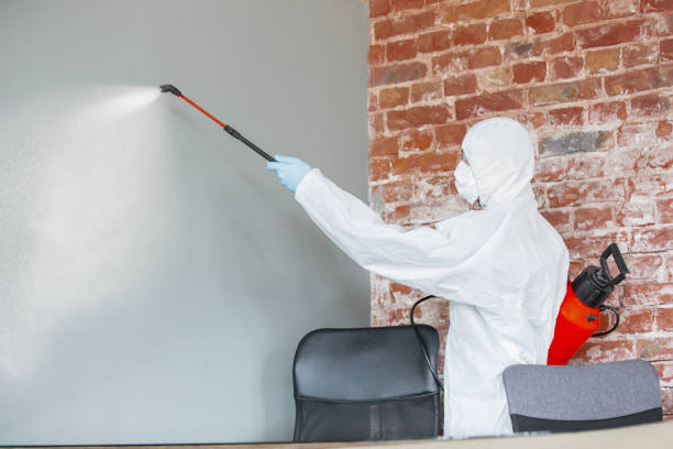 Best Mold Documentation for Insurance Claims  in Decatur, TN