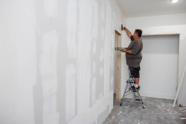 Best Industrial Mold Remediation  in Decatur, TN