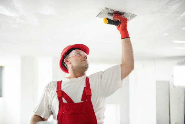 Best Environmental Consulting for Mold Prevention  in Decatur, TN