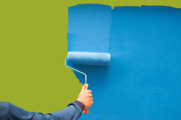 Best Mold Odor Removal Services  in Decatur, TN