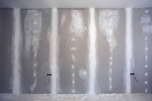 Best Commercial Mold Inspection  in Decatur, TN